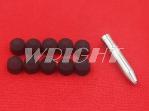 Charmilles Guide set ID 0.8mm 200001009 001.009 DD7618