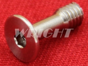 200443964 443.964 Charmilles EDM Screw for current supply