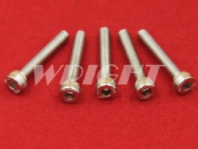 209042052 109042052 904.205.2 Charmilles stainless screw M4 x 25