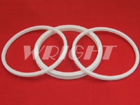 3031971 3031793 Sodick wearing parts teflon ring and wiper new seal