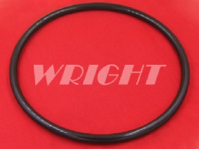 200290946 Charmilles consumable parts O-ring Ø 200.00 x 10.00 mm